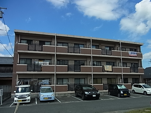 61画像